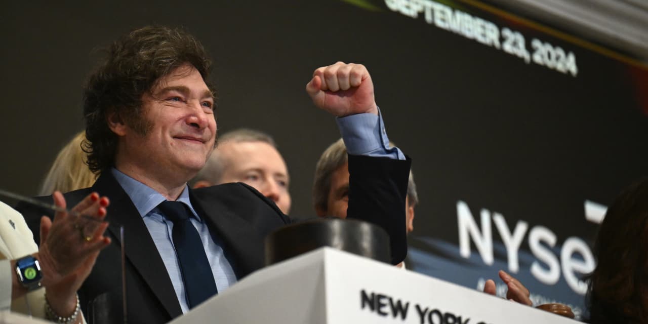 Argentina and Turkey Defy Odds, Beat US Stock Market in 2024