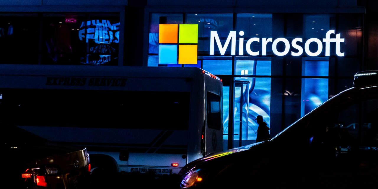 Microsoft and 18 Other Software Firms Poised for Resilience