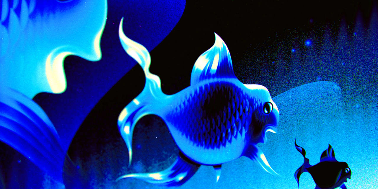 Commvault Systems Under Investigation for Securities Fraud Claims