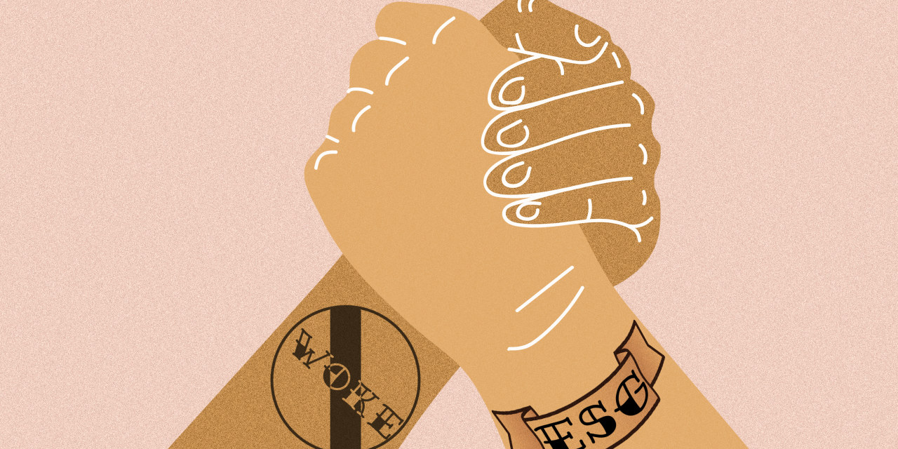 What Anti-Woke Funds and ESG Have in Common