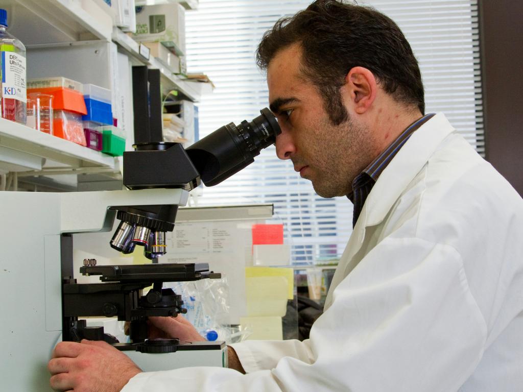 Growth Potential Analysis of Hims & Hers