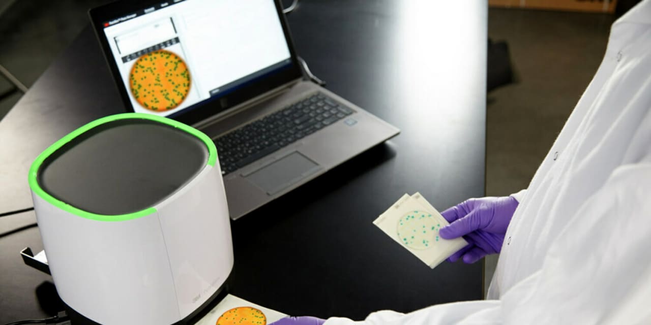 Neogen Shares Plummet Despite Increased Guidance and Strong Earnings Report.