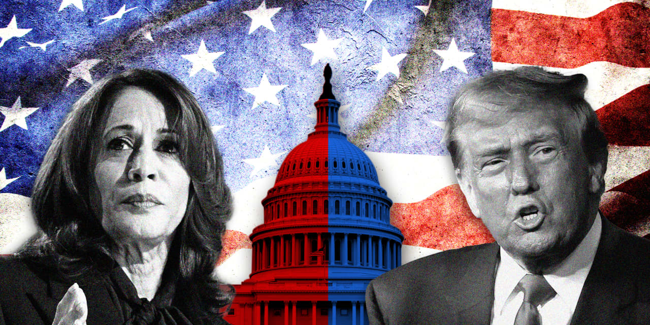 What it means for markets if Harris or Trump has opposition-run House or Senate