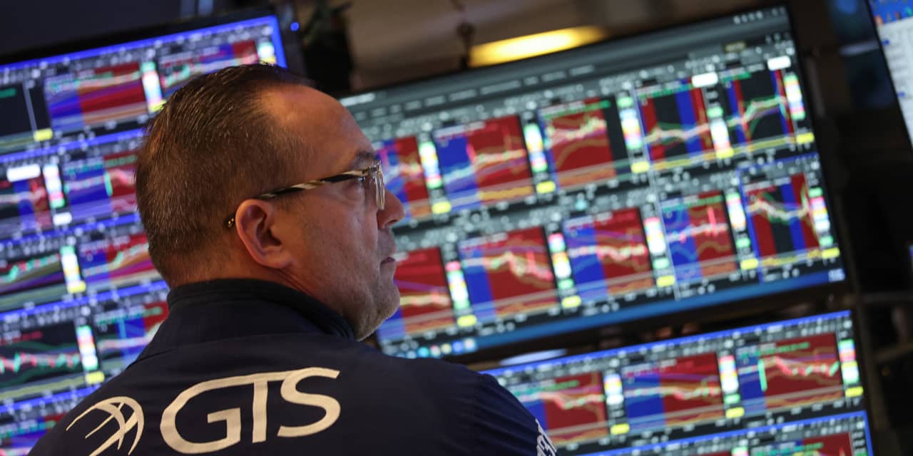 Insurance Stocks Thrive Amid Market Volatility; Stability Could Be the Key.