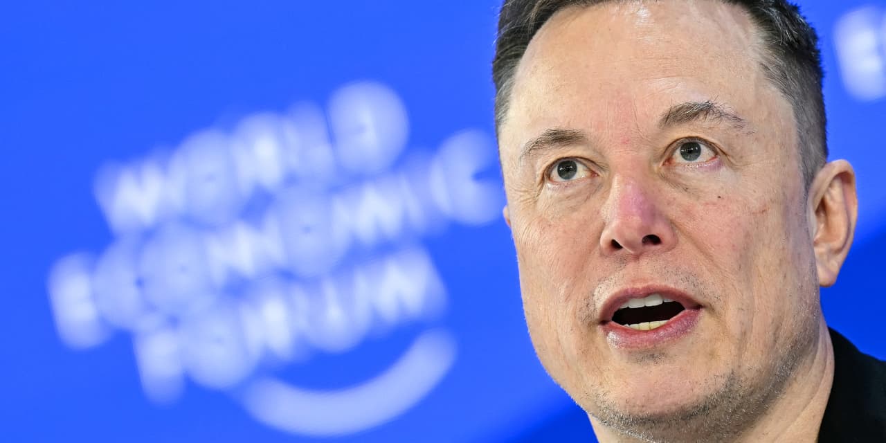 Tesla Shares Increase; Macrohard Comparable to Amazon Web Services.