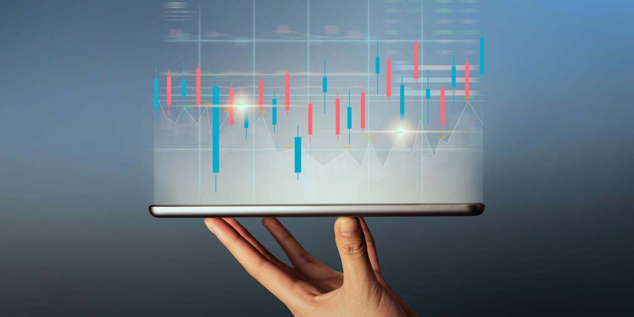AI Trader Outperformed in 2024. Nvidia, Tesla, and Broadcom Are Some of Its Favorites. 