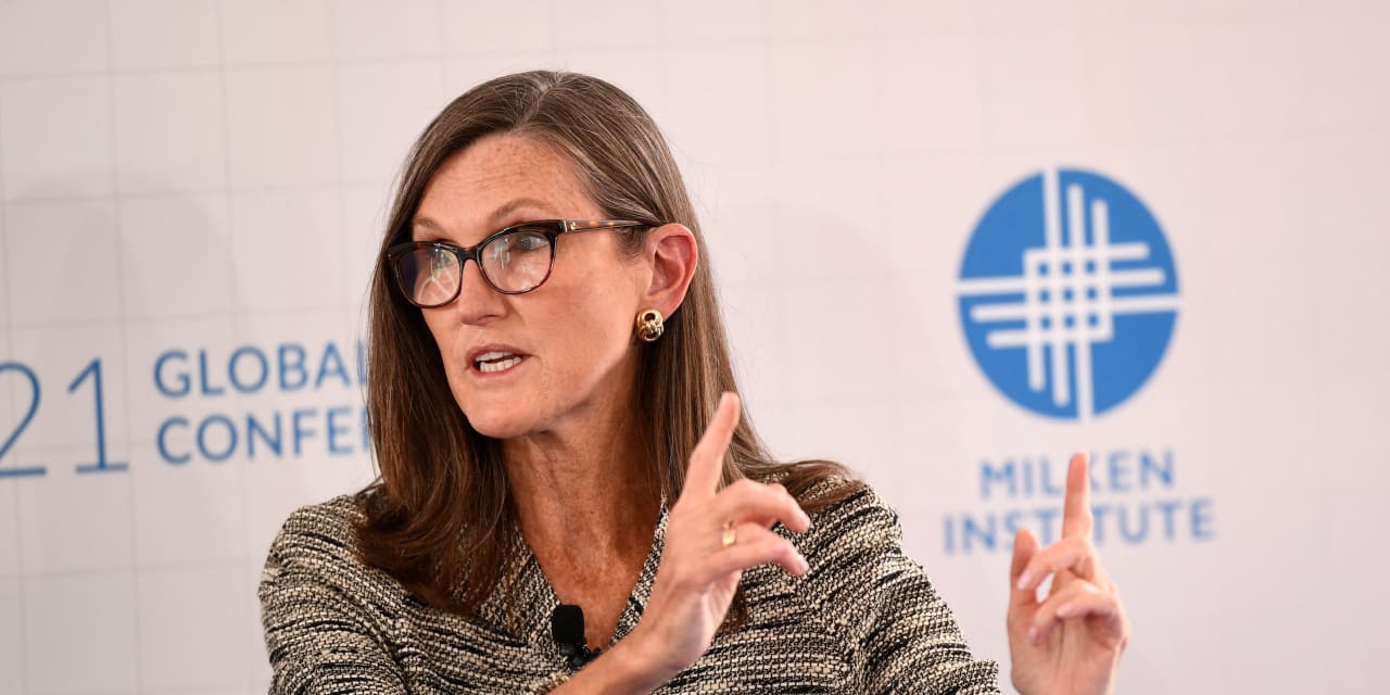 Cathie Wood's ARK Invest Divests Tesla and Increases Investment in This Semi Stock