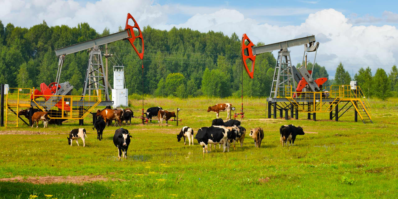 Energy stocks are still cheap. These 13 make effective use of stock buybacks.