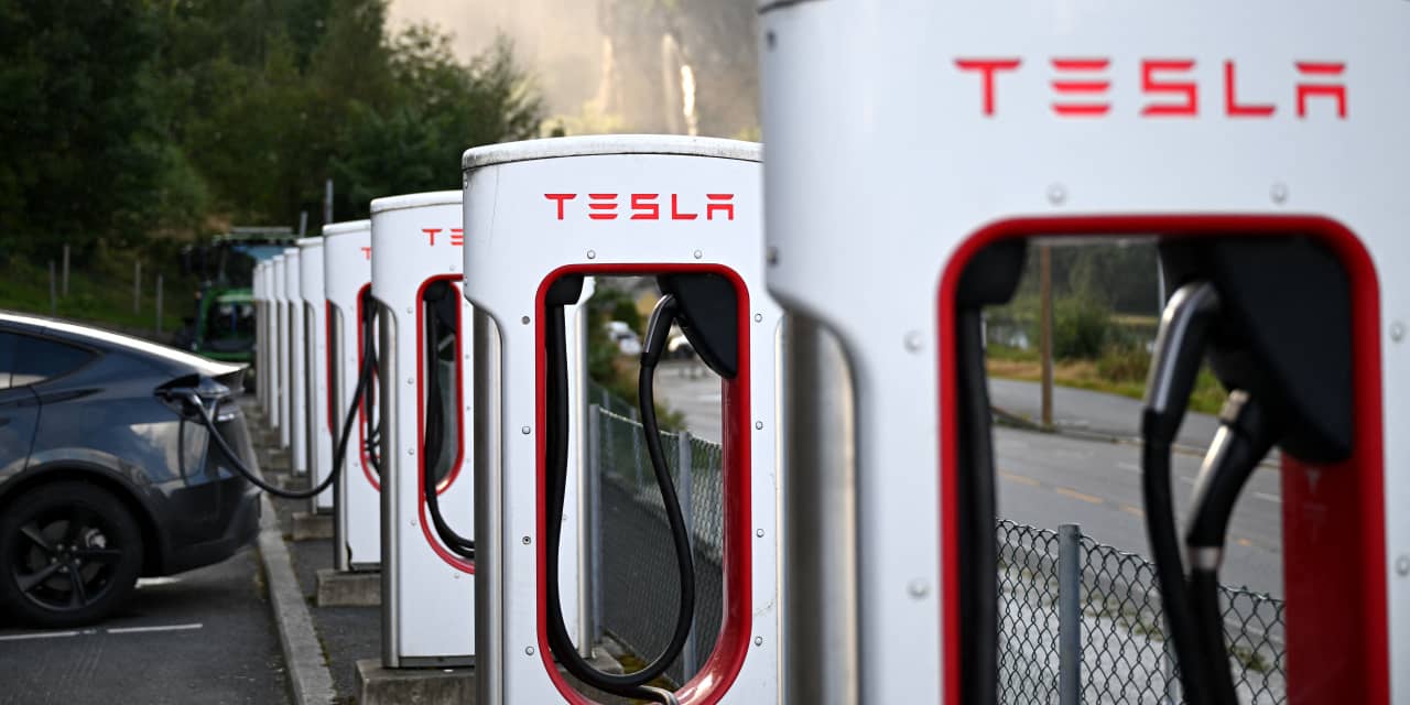 Tesla Shares Decline as Cathie Wood's ARK Takes Advantage of the Dip