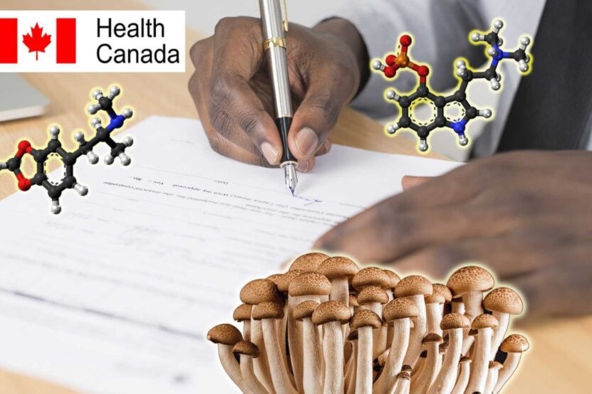 Launch of Interactive Map Celebrating Route 66 Centennial