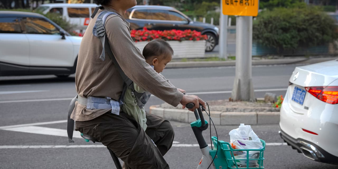 China's Birthrate Declines, Yet the Child-Care Industry Thrives.