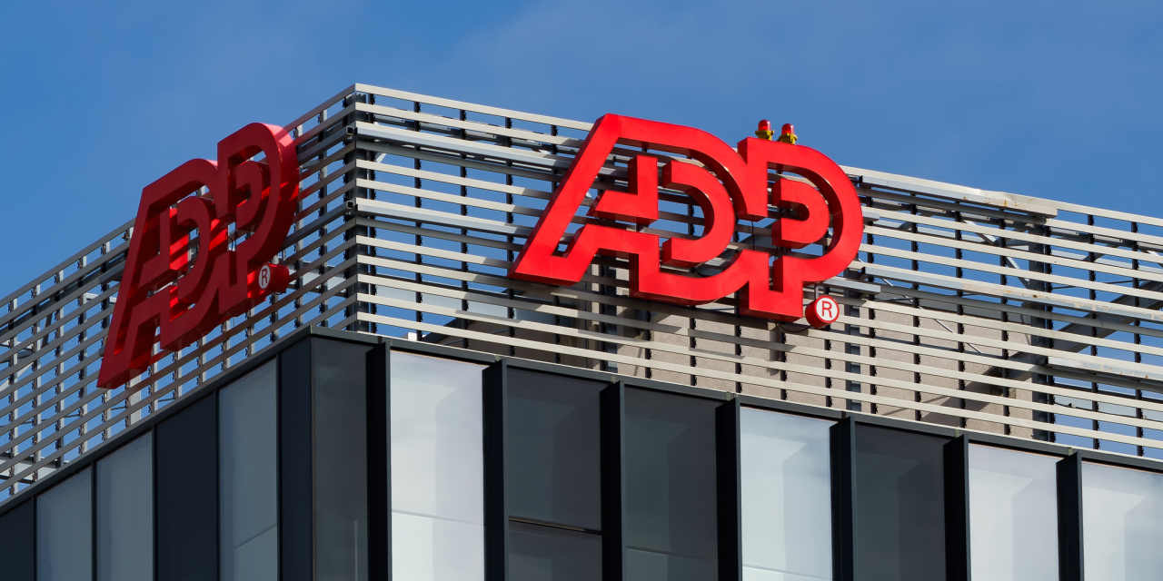 Software Stocks Climb While Hardware Declines: Key Insights for the Stock Market in the Age of AI.