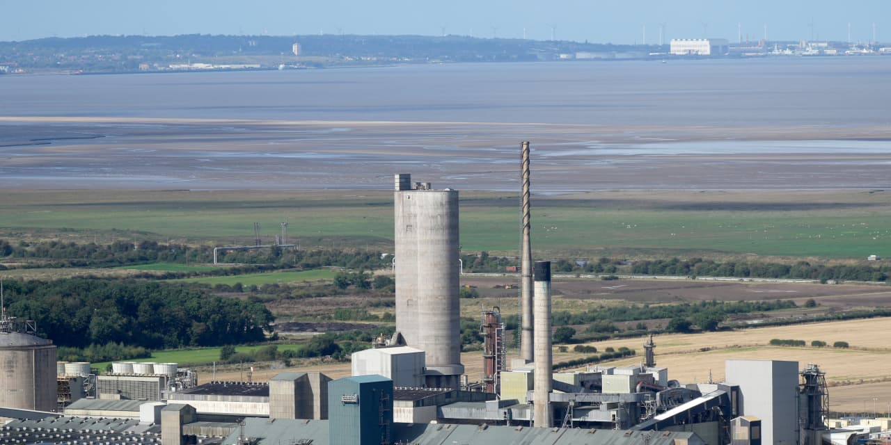 Gold and Silver Aren't the Sole Hot Commodities: Explore Agricultural Stocks.