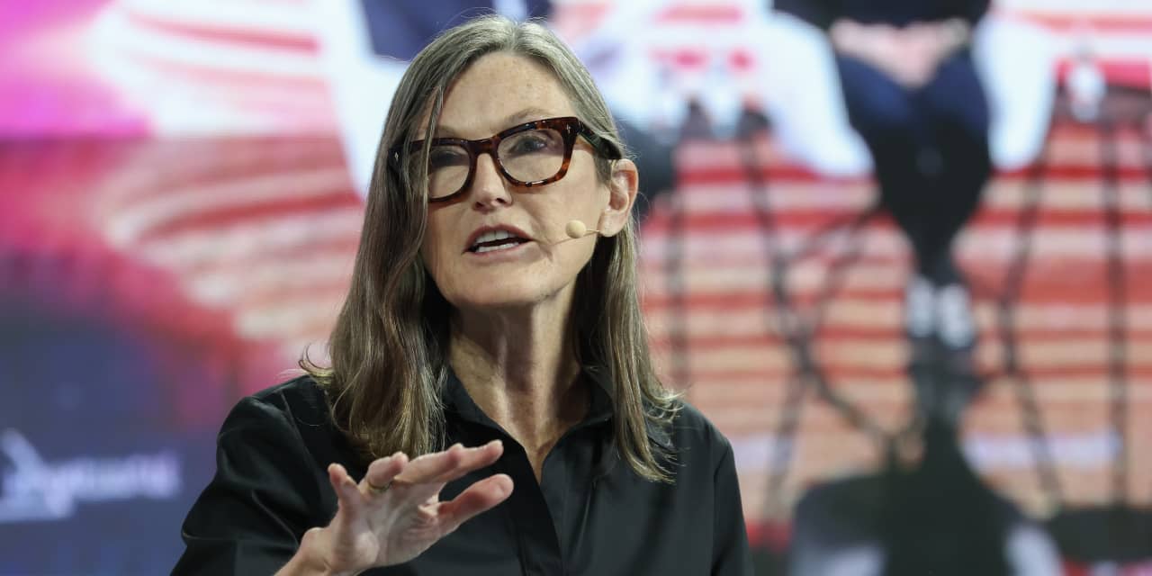 Cathie Wood's ARK Invest Acquires New Position in Broadcom, Divests from Palantir