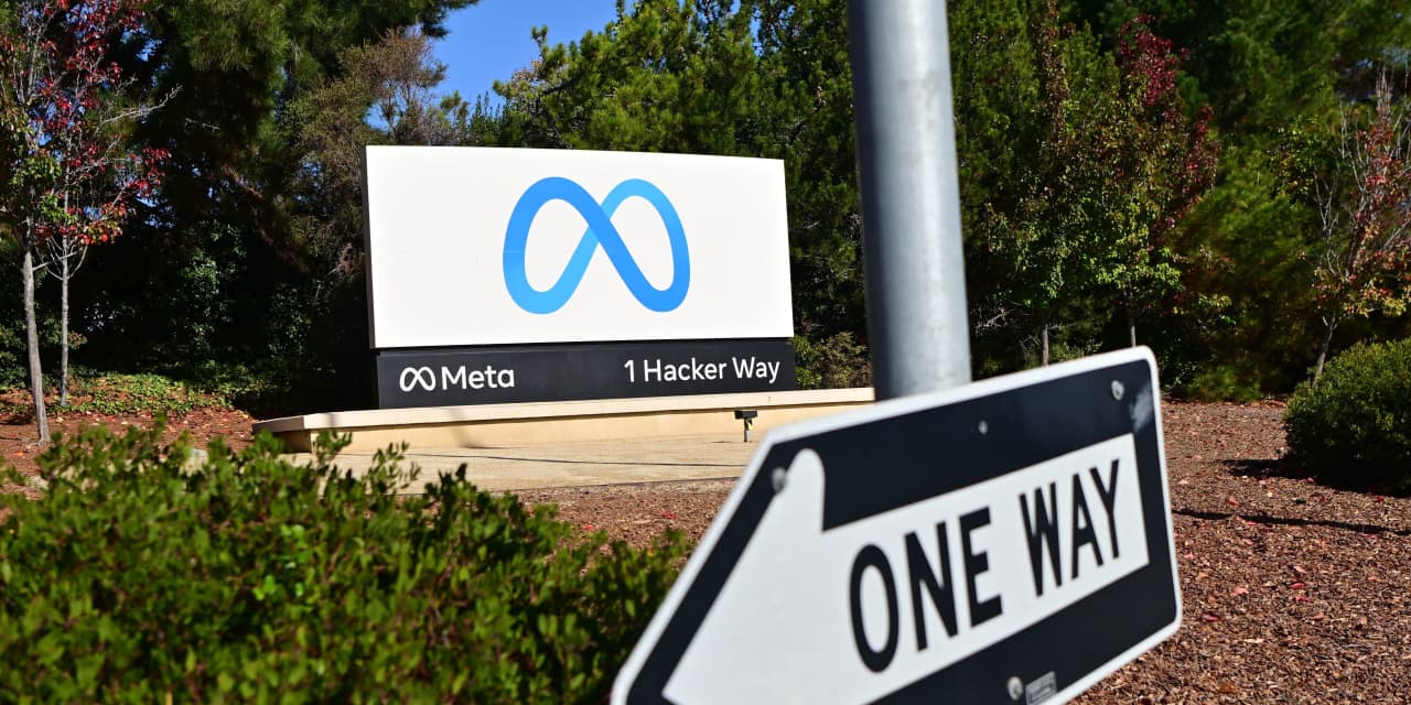 Cathie Wood's ARK Divests Meta Shares to Invest in This AI Stock.