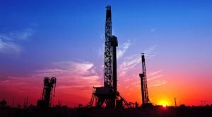 Dick's Sporting Goods Exceeds Holiday Sales Expectations but Sees 57% Profit Decline