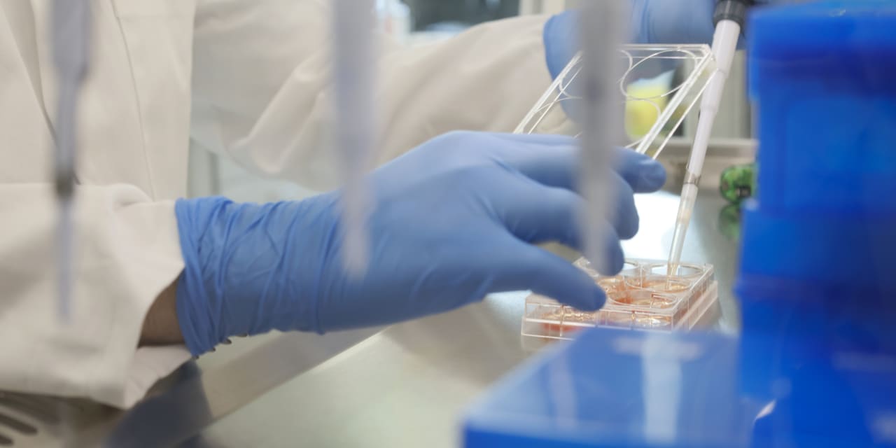 ViiV's VH184 Phase 1 Data Shows Promising Long-Acting Potential