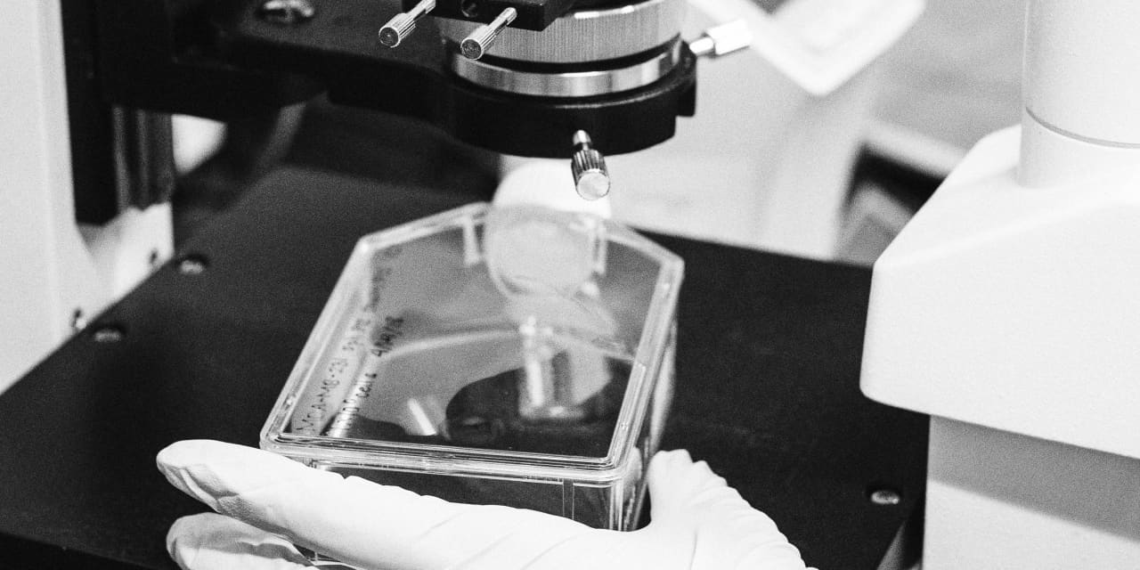 Sarepta Shares Rise as 3-Year Elevidys Study Results Offer Promise.