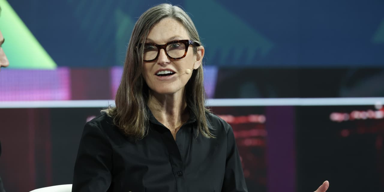 Ark Fund Offers Pre-IPO Opportunities in SpaceX and OpenAI, Though Risks Exist.