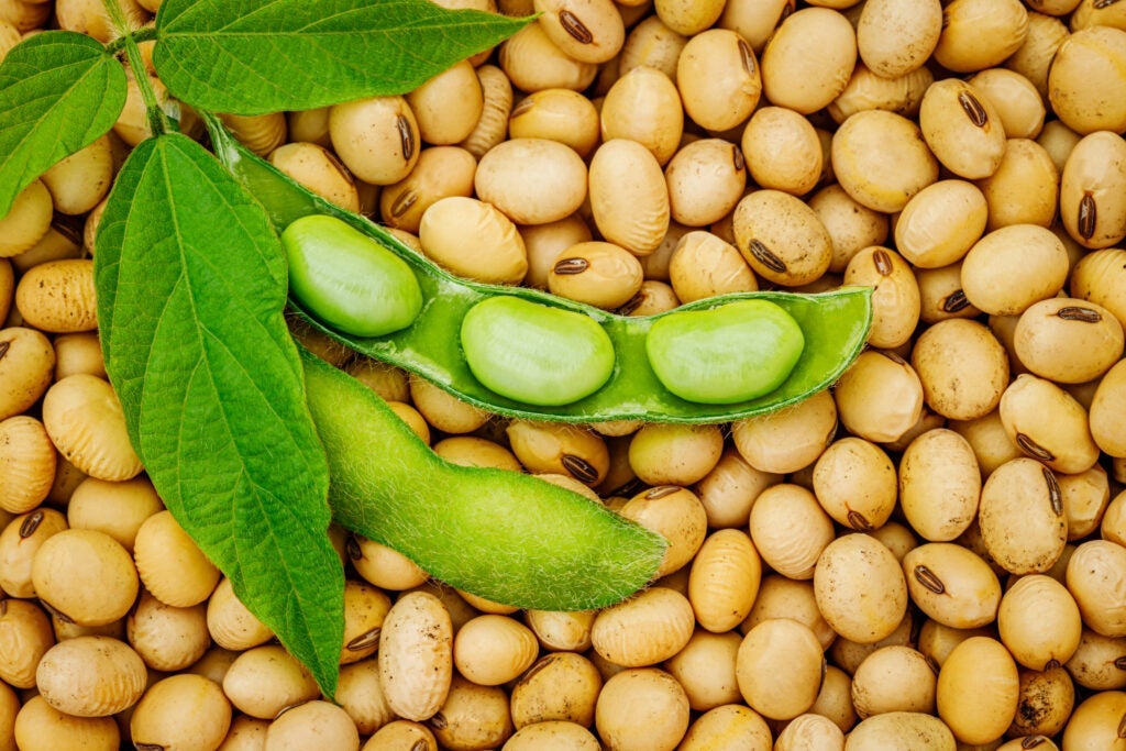 China's Demand for US Soybeans Declines: Teucrium MD Explains Continued Bullish Sentiment Among Soybean ETF Investors