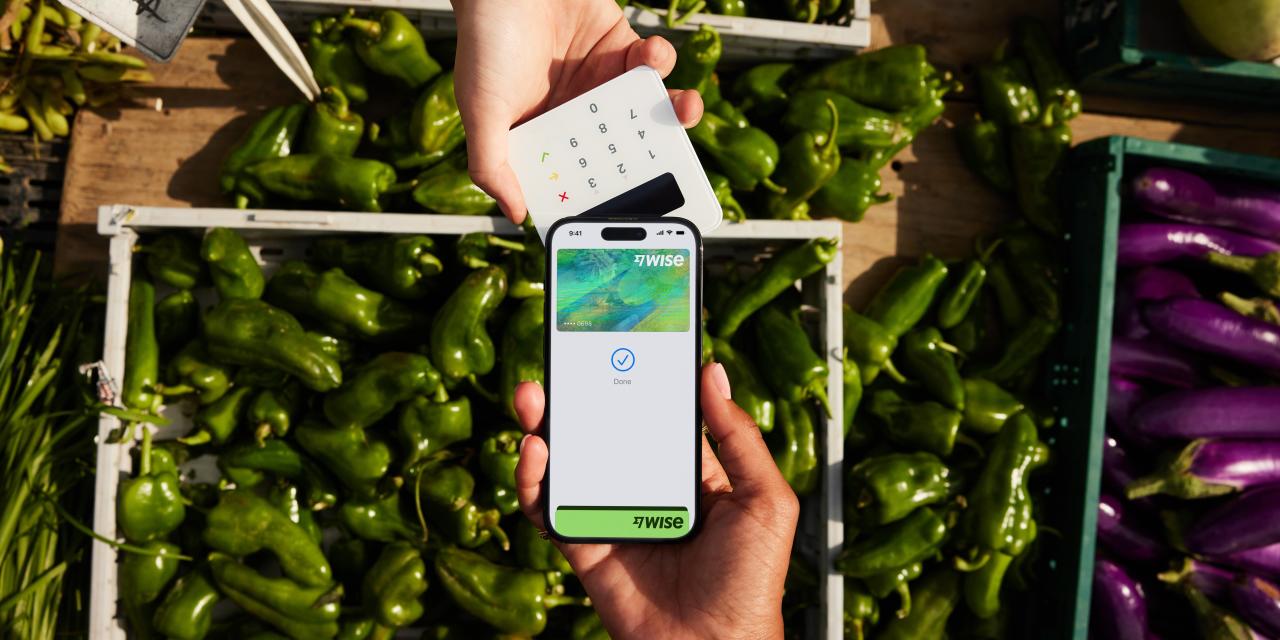 Wise Reports Decline in Pretax Profit Despite Revenue Increase