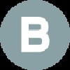 BRUN logo