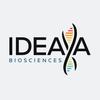 IDYA logo